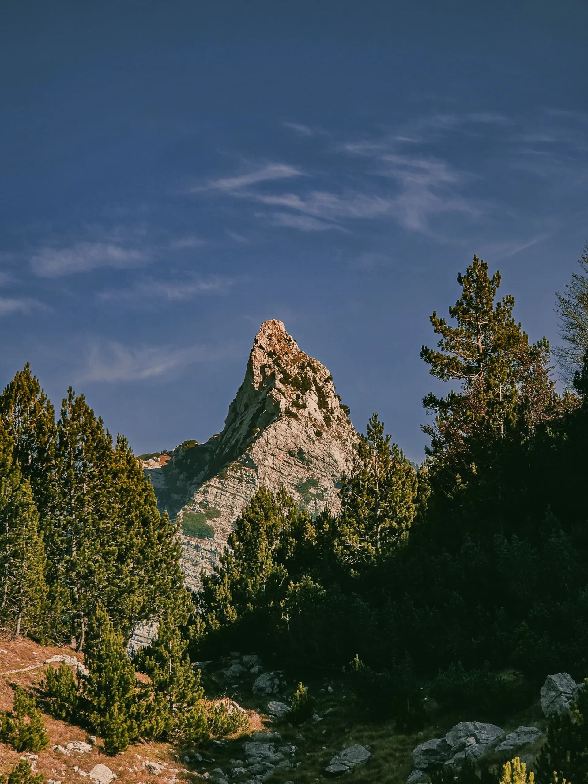 Rafting Neretvom & Planinarenje Prenj - Rafting adventure in Bosnia